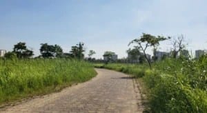 Công viên KĐT Việt Hưng, phường Việt Hưng