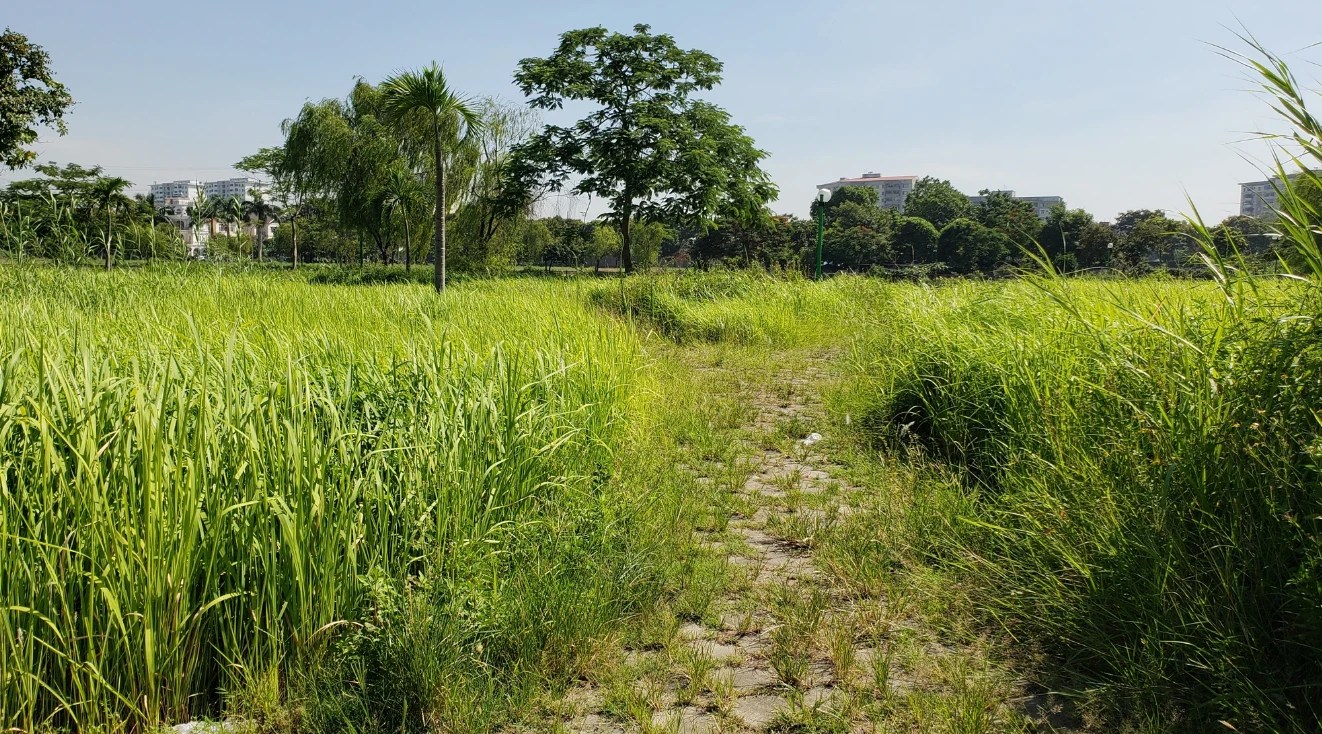 công viên kđt việt hưng