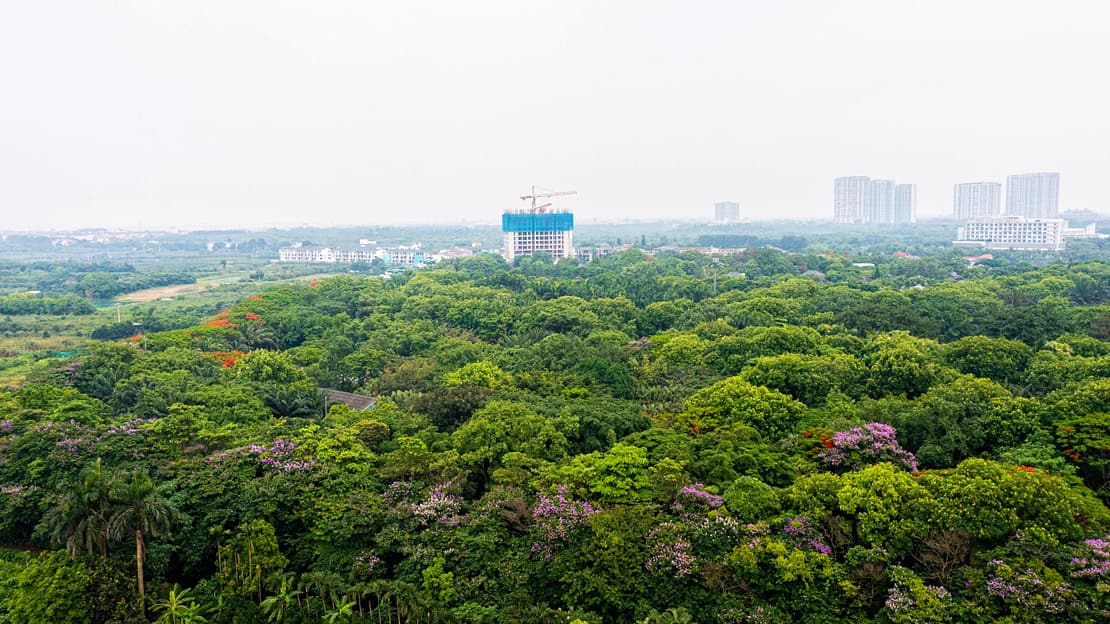 Biểu tượng Tinh Hoa giữa Miền Xanh vô tận