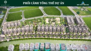 The diamond point phúc đồng