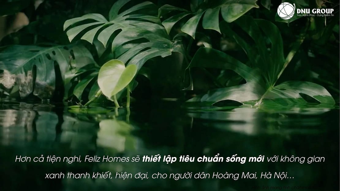 Feliz Homes 365 Ngày Thanh Khiết