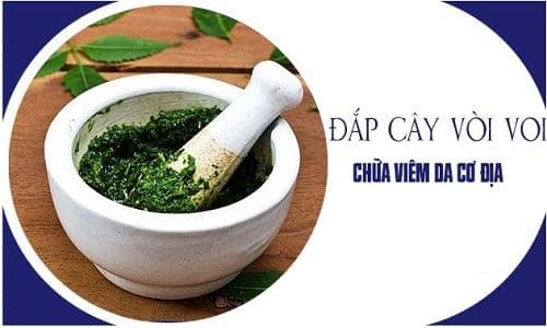 cay voi voi chua viem da co dia