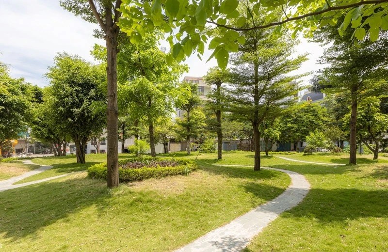 Con đường dạo bộ cây xanh 