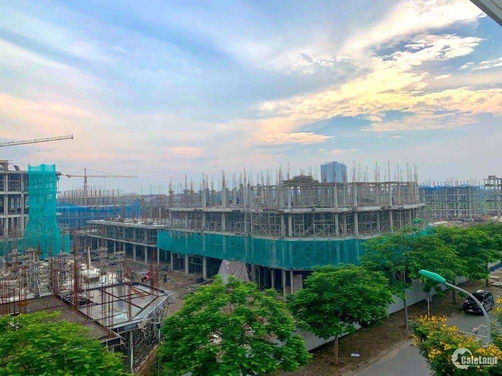 Tiến độ đến T7 TQ5 Trâu Qùy