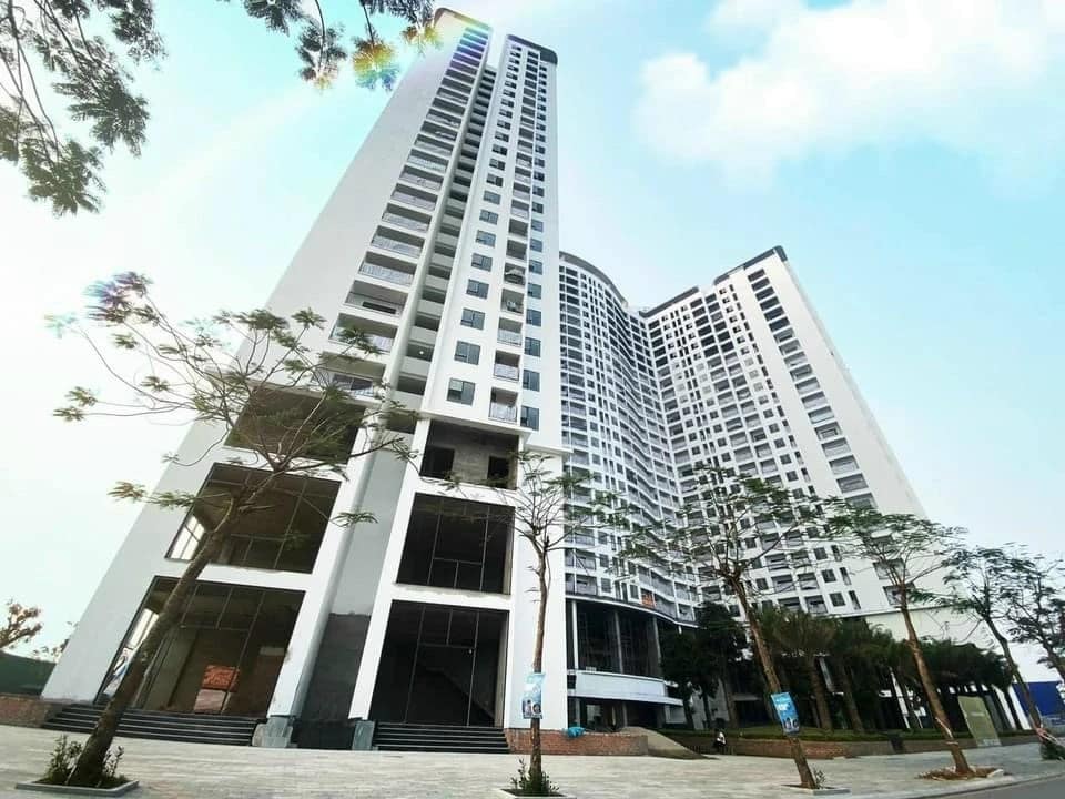 Tiến độ tháng 3 ở dự án tecco diamond