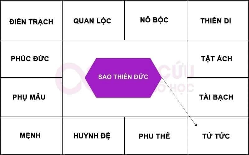 Sao Thiên Đức chiếu cung Tử Tức