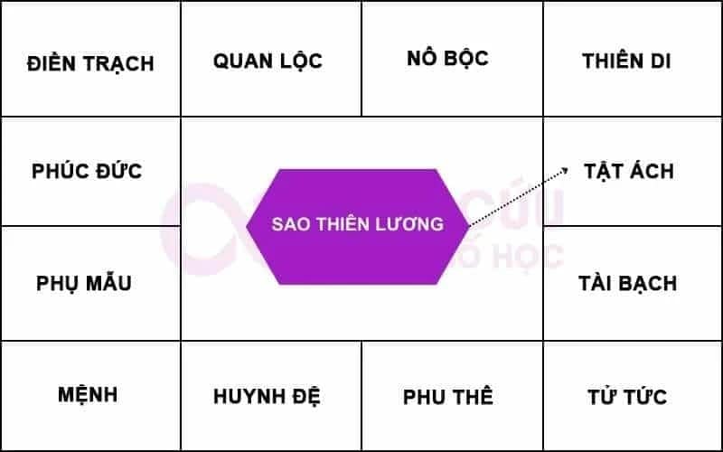 Sao Thương Lương chiếu cung tật ách