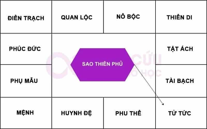 Sao Thiên Phủ chiếu cung Tử Tức