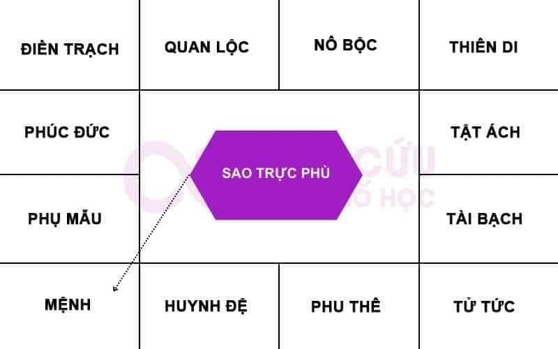 Sao Trực Phù chiếu cung Mệnh