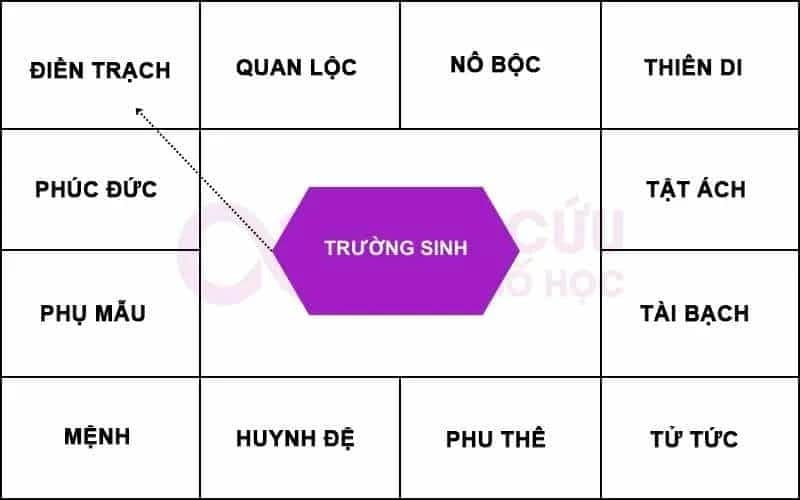 Trường Sinh chiếu cung Điền Trạch