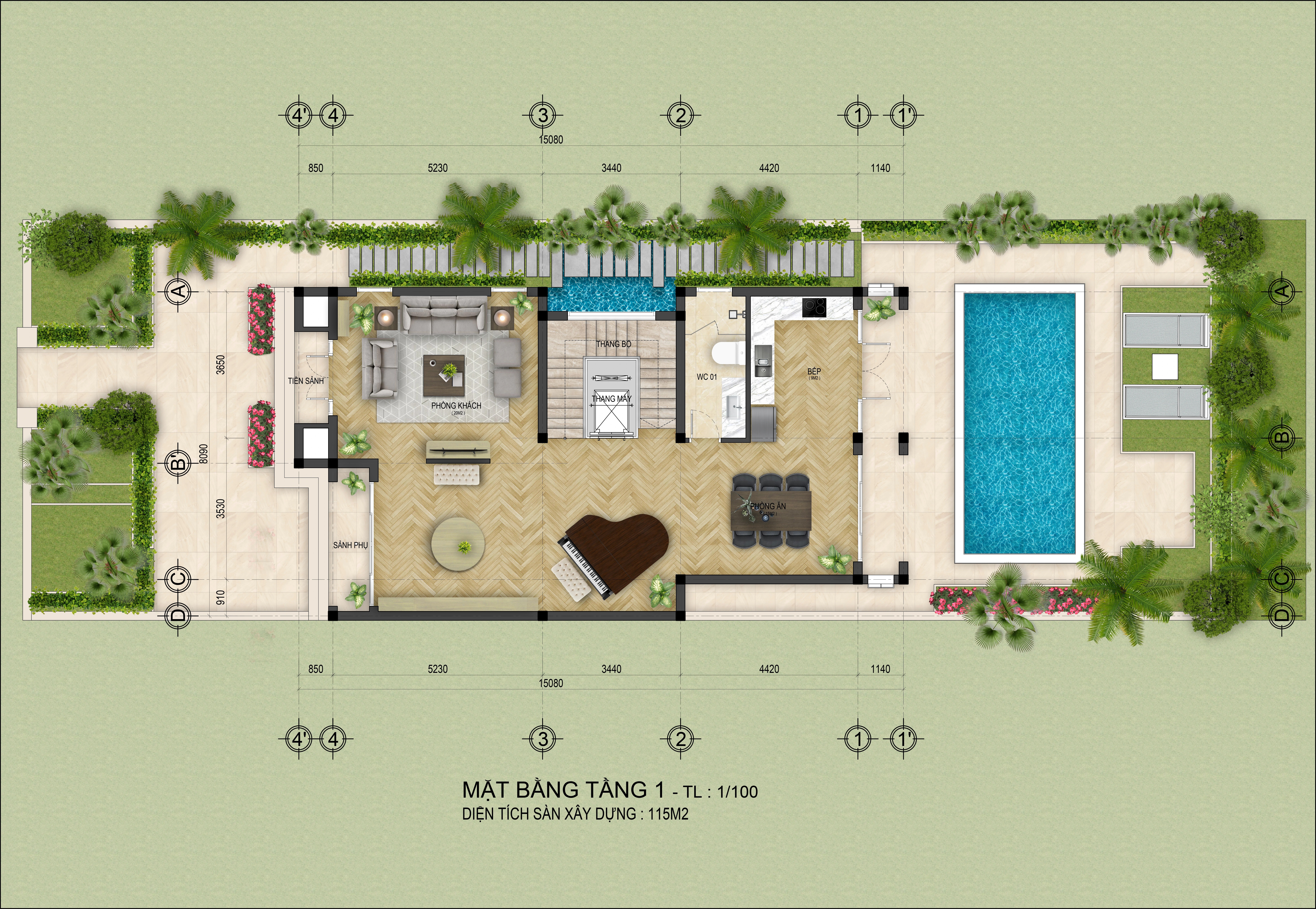 Mặt bằng tầng 1 biệt thự song lập mới nhất 2024